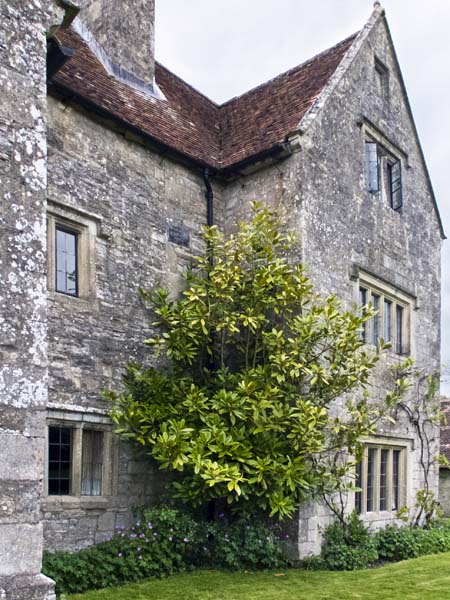 Little Clarendon,Dinton,Historic House,National Trust