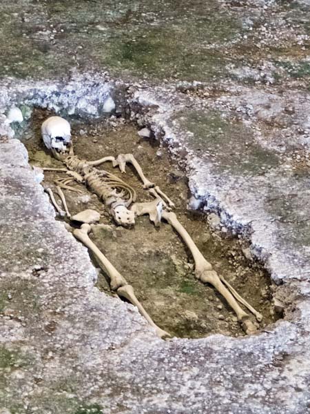 Skeleton,Fishbourne Roman Palace