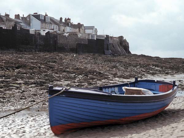 Appledore,Boat