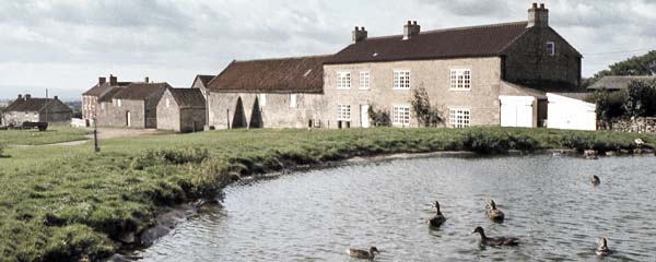 Newton-on-Rawcliffe,Pond,Buildings