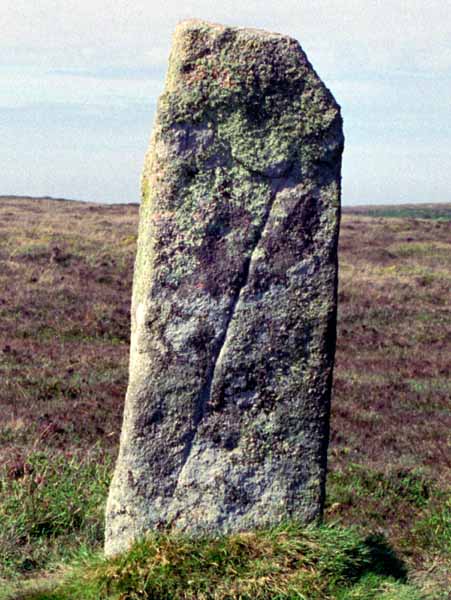 Antiquity,Stone Circle,Nine Maidens