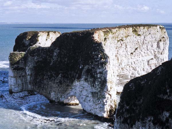 Studland,Old Harry Rocks,Cliffs,Purbeck