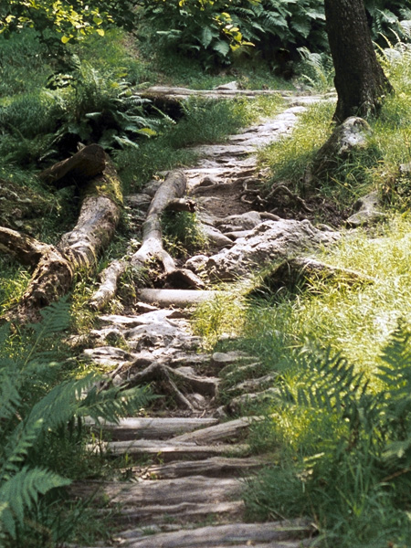 Llyn Gwynant,Path