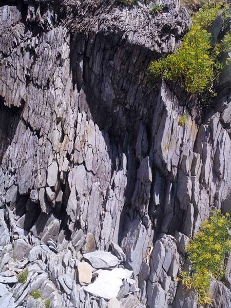 Rocks