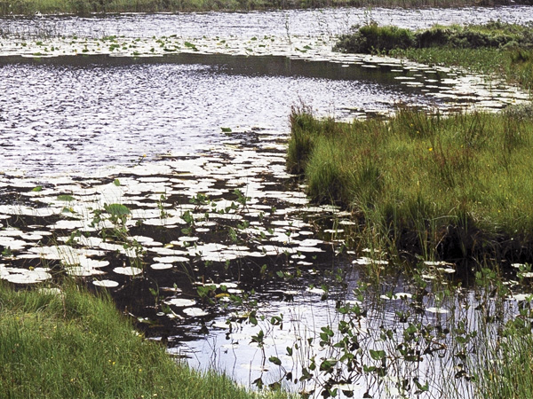 Killarney,Cill Airne,Gap of Dunloe,Lake