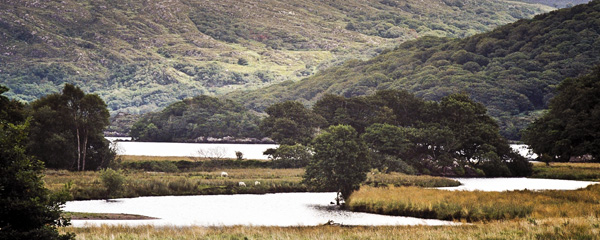 Killarney,Cill Airne,Lakes,Lord Brandon's Lodge