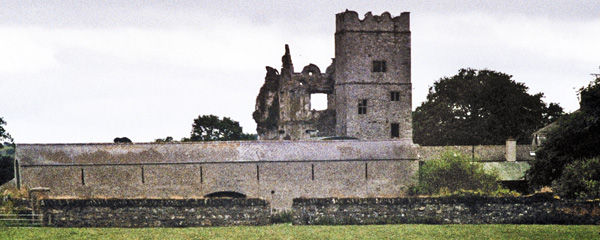 Dunganstown Castle,Wicklow,Cill Mhantáin,Cill Mhantain