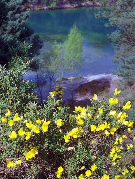 Furzebrook,Blue Pool,Lake,Clay Pit