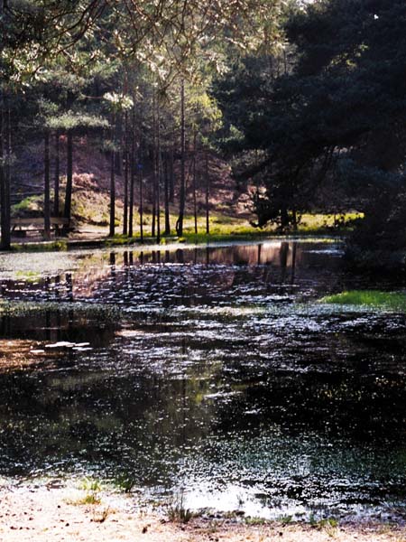 Blue Pool