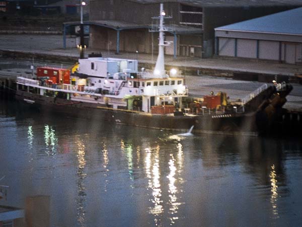 Tug,Newhaven,Sussex