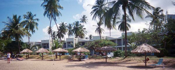 Rex Turtle Beach,Starfish Tobago,Hotel,Great Courland Bay
