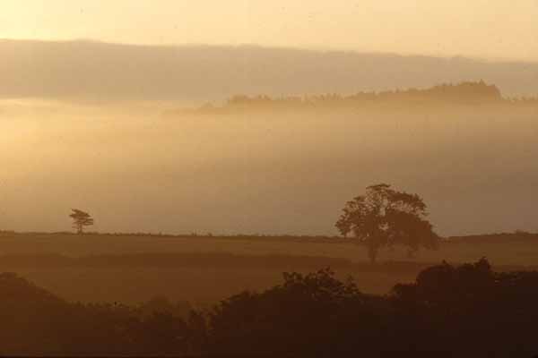 Rosedale,Sunset,Mist