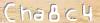 Visual Recognition Code